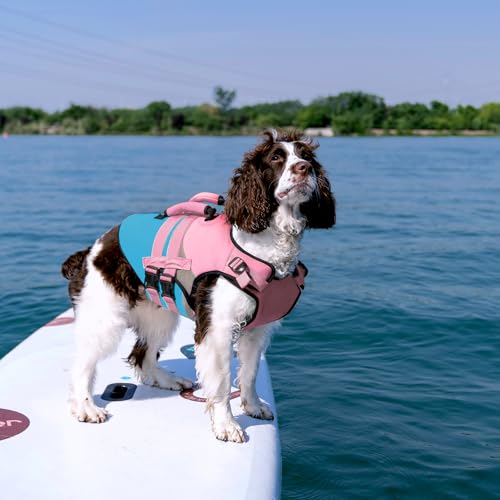 Kuoser Dog Life Jacket with Reflective Strips, High Visibility Dogs Swim Vest with Rescue Handle, Adjustable Dog Life Vest for Swimming, Boating, Pool & Beach, Doggy Lifejacket Small Medium Large Dogs - color: Pink & Aqua Blue, size: Medium (Chest Girth:2