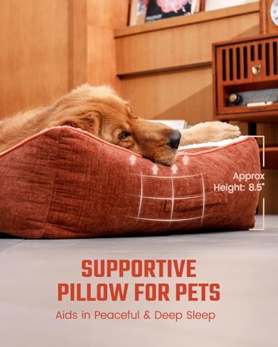 Dog Beds Large Sized Dog - Comfy Flat Pet Beds with Removable Washable Cover, Orthopedic Foam Puppy Mat with Pillow Suitable for Pet Up to 65 lbs(36''×24''×5'') - size: 36''×24''×5''