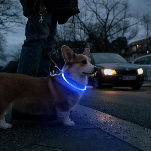 HIGO LED Dog Collar, USB Rechargeable Light Up Dog Collars Glow in the Dark, TPU Cuttable Pet Safety Dog Necklace for Nighttime Dog Walking (Blue) - color: Blue
