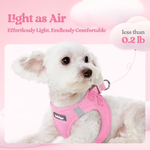 rabbitgoo Dog Harness Small Sized and Leash Set, Step in Soft Light Puppy Vest, Breathable Mesh Pet Harness, Reflective for Safe Easy Walking, Light Pink XXXS - color: Light Pink, size: Xxxs (chest: 10.8 - 11.8")