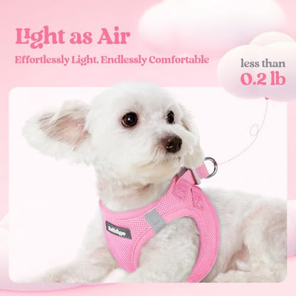 rabbitgoo Dog Harness Small Sized and Leash Set, Step in Soft Light Puppy Vest, Breathable Mesh Pet Harness, Reflective for Safe Easy Walking, Light Pink XXXS - color: Light Pink, size: Xxxs (chest: 10.8 - 11.8")