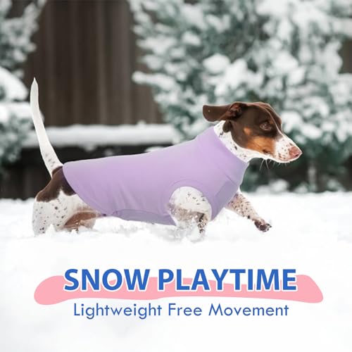 Dog Fleece Vest - Purple, S - Warm and Stretchable Sweatshirt | Sleeveless Lightweight Sweater, Pullover Design for Small Dogs, Chihuahua Clothes, Papillon, Pomeranian - color: Purple, size: Small
