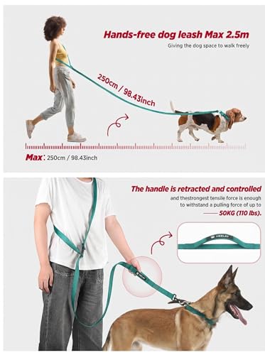 Hands Free Dog Leash, 5.9-8.2ft Multifunctional Crossbody Rope with Explosion-Proof Handle and Adjustable Training Hands Free Leash for Medium Dog Walking Running Hiking Travel Blue-Green - color: Teal