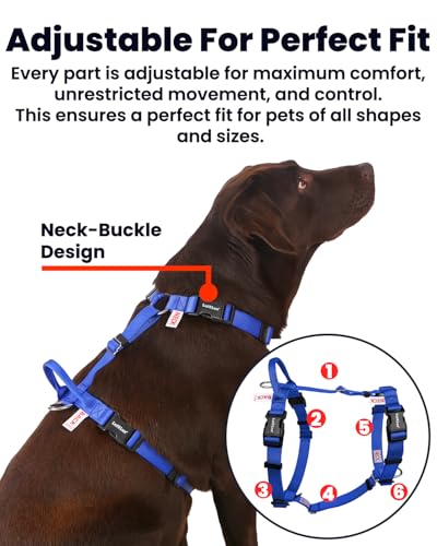 Non Restrictive No Pull Dog Harness, Medium, Blue | Neck Buckle Design, Easy Walk Freedom, Six Points Adjustment, Chest 21-30 inches - color: Blue, size: M