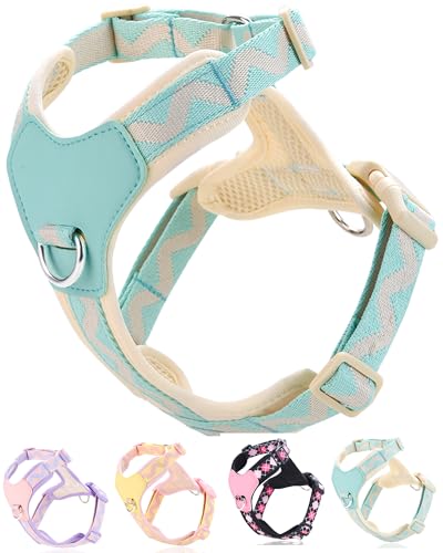 Petank Blue Medium Dog Harness for Medium Dogs, No Pull Dog Harness with 2 Leash Clips,Puppy Harness, Adjustable Dog Vest Harness (Blue, M) - color: Blue, size: M