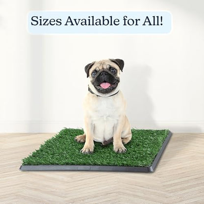PETMAKER Artificial Grass Puppy Pee Pad with Tray, Reusable Dog Potty Training Mat for Indoor & Outdoor Use, Easy Clean Artificial Turf Surface for Dogs and Small Pets, Fake Grass Potty - size: Small 4-Layer System