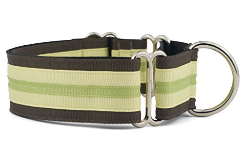 If It Barks 1.5" Martingale Collar for Dogs, Adjustable Nylon, Made in USA,Key Lime Pie,Small (11" - 15") - color: Key Lime Pie, size: Small (11"-15") w/o Buckle