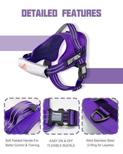 AUROTH Dog Harness and Leash Set, Soft Padded Service Dog Vest with 5.25FT Dog Leash, No Choke, Easy On Pet Vest, Adjustable Reflective No Pull Pet Vest Medium Sized Dog, Easy Walking and Training - color: Purple, size: Medium
