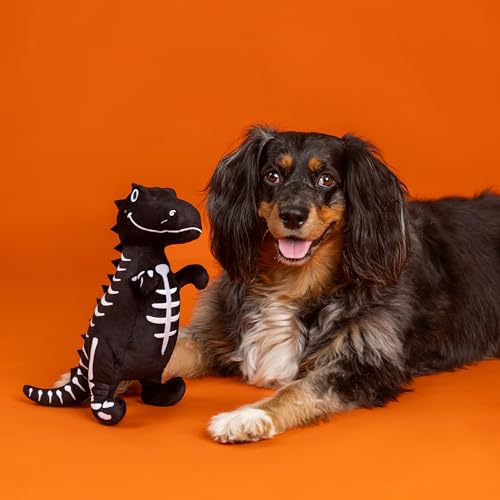 Fringe Studio Pet Toy, Trick RAWR Treat Glows in the Dark Plush Dog Toy, PetShop Collection (314607) - color: Trick Rawr Treat