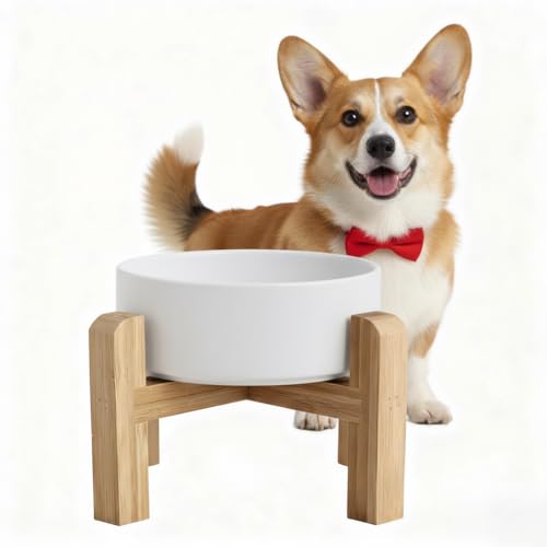 Elevated/Raised Ceramic Dog Bowl with Bamboo Stand，6 Inch 3.6 Cups Non Slip Heavy Weighted Single Pet Dish, for Small Medium Breed & Cats,Reduces Neck Strain White - color: White, size: 3.6 Cups - Medium