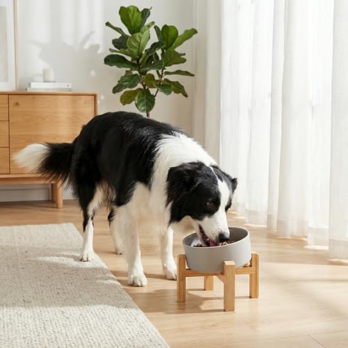 hjn Elevated Ceramic Dog Bowl 15°Slanted Raised Dog Bowl with Bamboo Stand for Small Medium Dogs and Cats, Pet Feeder -7.6-Cup (1800ml)-Gray - color: Misty Gray, size: 7.6Cup