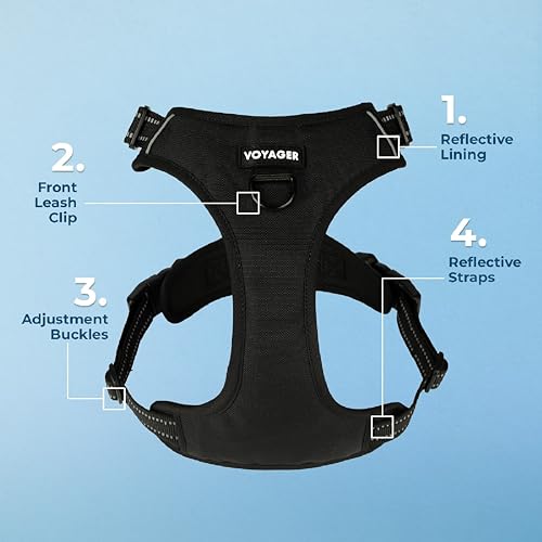 Voyager Dog Harness Dual Leash Attachment No-Pull Control Adjustable Soft but Strong Pet Harness for Medium and Large Dogs with 3M Reflective Technology, Black Nylon, M (Chest: 20-25") - color: Black Nylon, size: M (Chest: 20 - 25")