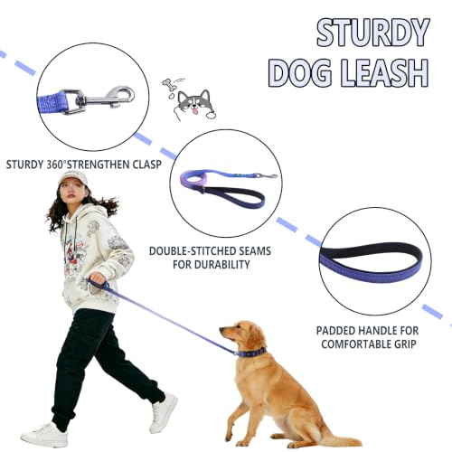Roses&Poetry Small Dog Collar and Leash Set, Puppy Reflective Leashes with Collars, Adjustable Durable Matching Collar Leash for Small Dogs Girl (BluePurple-S) - color: BluePurple, size: S