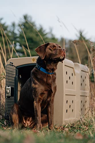 Dakota283 Dakota 283 Large Kennel -Frame Door- Coyote - color: Coyote, size: Large