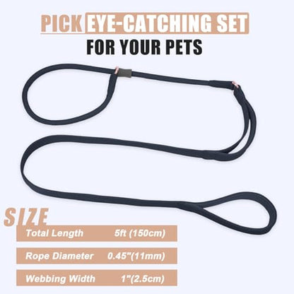 Slip Lead Dog Leash, Dog Training Leash with Double Handle, Soft Leather Slip Leash and Collar, Heavy Duty Nylon Dog Lead, No Pull Walking for Medium Large Small Dogs 5ft Black - color: Black, size: 5ft