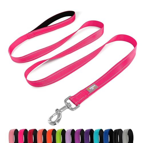 Dog Leash 6 FT Padded Handle Nylon Reflective Dogs Leashes for Small Dogs Hot Pink - color: Refl Hot Pink, size: Small : 5/8" x 6 FT