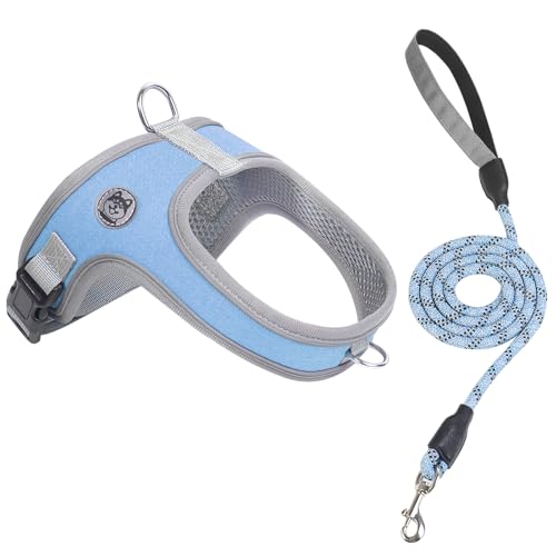 Dog Harness and Leash Set, No Pull Saddle Style Pet Harness, Breathable Mesh Adjustable Reflective Dog Vest for Medium Small Dogs Harness 2 D-Rings, Blue, XS - color: Blue, size: XS