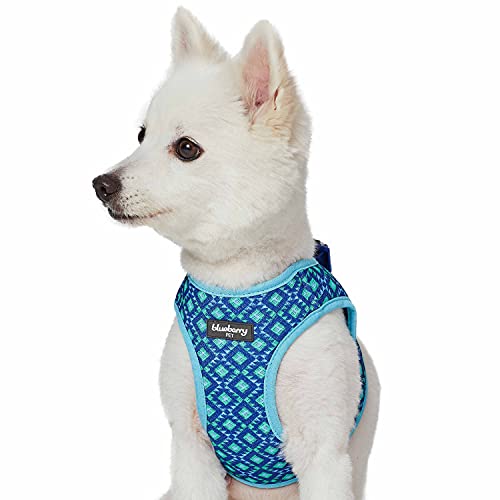Blueberry Pet Southwestern Tribal Lozenges Stylish Green Dog Harness Vest, XS, Adjustable Harnesses for Puppies Small Dogs - color: Stylish Green, size: (15 1/2"-16 1/2") Chest Girth (Pack of 1)