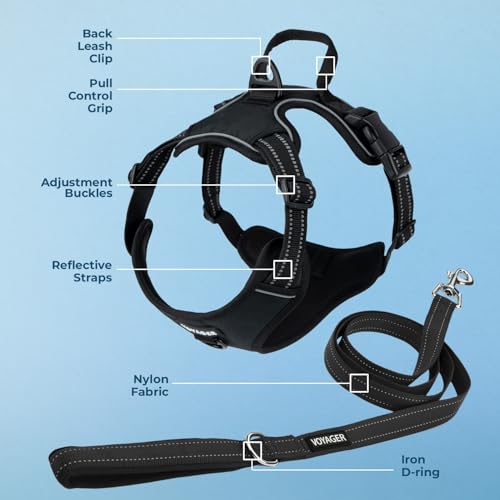 Voyager Dog Harness Dual Leash Attachment No-Pull Control Adjustable Soft but Strong Pet Harness for Medium and Large Dogs with 3M Reflective Technology, Leash Set Black Nylon, M (Chest: 20-25") - color: Leash Set Black Nylon, size: M (Chest: 20 - 25")
