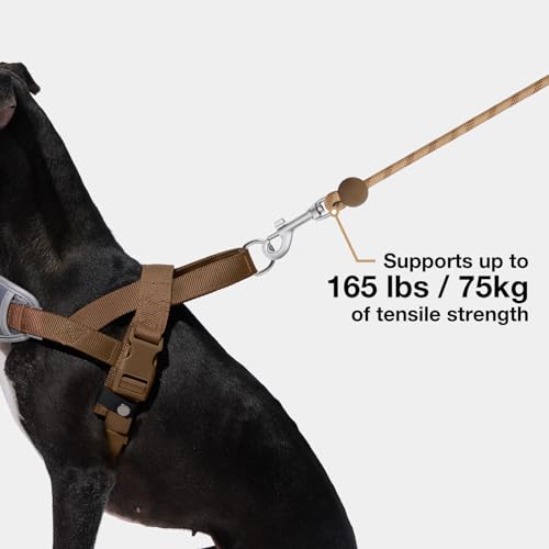 VETRESKA Crossbody Hands Free Dog Leash, 5FT Adjustable Rope Leash for Small Medium Dogs, Waist Multifunctional Leashes for Walking, No Pull Dog Leashes with Bag Dispenser, 2 in 1 Walk Set (Coffee) - color: Coffee Brown