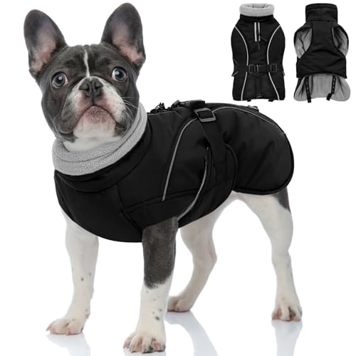 Queenmore Winter Dog Coat Warm Dog Jacket Vest Waterproof Puffer Fleece Snowsuit Adjustable Buckle Leash Hole Reflective Cold Weather Parka for Small Medium Large Dogs Girl Boy Black S - color: Black, size: Small
