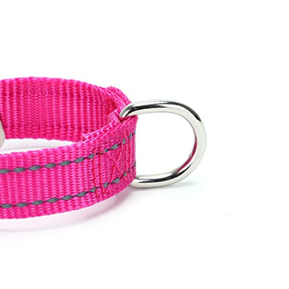 Martingale Dog Collars - Reflective Dog Collar with Quick Release Buckle Adjustable Nylon Training D Solution for Large, Medium, and Small Dogs (M, Hot Pink) - color: Hot Pink, size: M