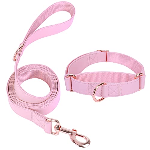 Soft Leather Martingale Dog Collar - Adjustable Rose Gold Limited Slip Collars [Easy to Clean], Stylish Durable Heavy Duty Nylon No Pull Training Collar for Small Medium Large Dogs (S, Set Pink) - color: Set Pink, size: S (Neck 10"-15", Width 4/5")