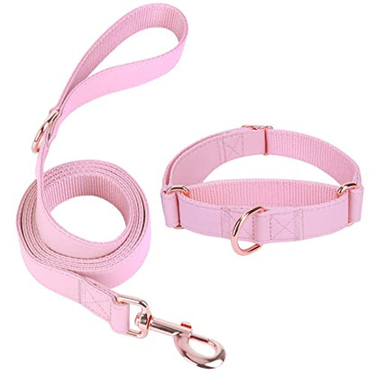 Soft Leather Martingale Dog Collar - Adjustable Rose Gold Limited Slip Collars [Easy to Clean], Stylish Durable Heavy Duty Nylon No Pull Training Collar for Small Medium Large Dogs (S, Set Pink) - color: Set Pink, size: S (Neck 10"-15", Width 4/5")