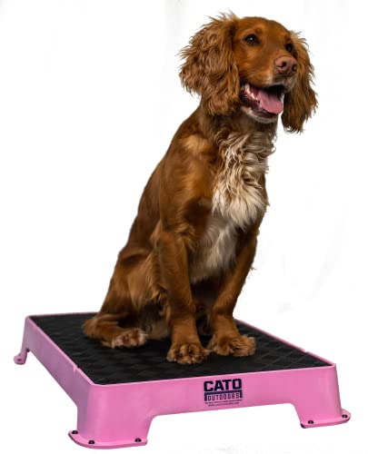 Cato Board - Dog Training Platform (Pink, Rubber Surface) - color: Pink