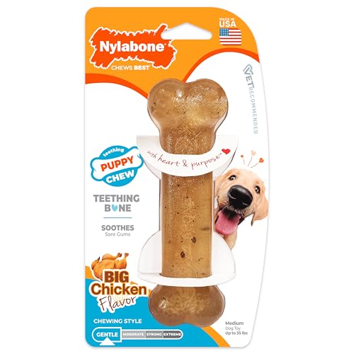 Nylabone Puppy Chew Teething Bone, Toys for Teething Puppies, Chicken Flavor, Medium, Up to 35 Ibs, 1 Count - color: Teething Bone, size: Medium