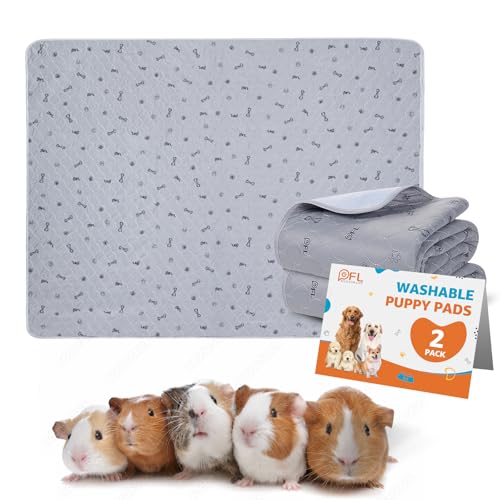 Washable Pee Pads for Small Pet, 2 Pack Reusable Pet Training Pads Washable,36x72 Absorbent Reusable Whelping Pads, Non-Slip Dog Mats with Bone Print for Rabbit Guinea Pig Hamster Puppy - size: 36X72" (Pack of 2)