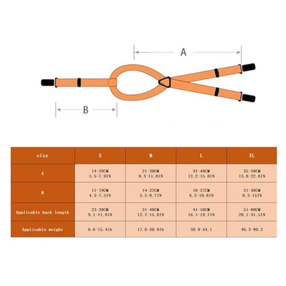 Dog Suspenders for Diapers Female,2pcs Adjustable Pet Nappy Antieslip Suspenders | DiaFixing Tool, DiaKeeper, pet Nappy Strap, Dog Dress - color: 1L