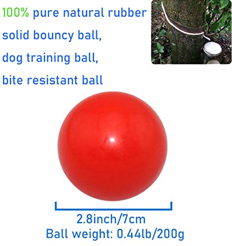 Sunglow Durable Dog Ball for Chewing & Training, Tough Indestructible Dog Chew Toy, Solid Rubber Bouncy Ball, Cleans Your Dog's Teeth & Improves Mental Health