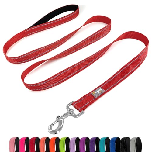 Dog Leash 6 FT Padded Handle Nylon Reflective Dogs Leashes for Small Dogs Red - color: Refl Red, size: Small : 5/8" x 6 FT