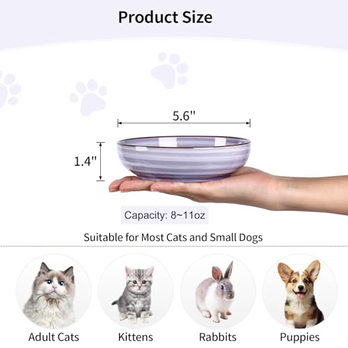 Selamica 세라믹 고양이 그릇 4개 세트, 고양이 사료 그릇 위스커 친화적, 음식과 물용, 14cm(5.6인치) 얕은 넓은 새끼 고양이 접시, 식기 세척기 사용 가능, 그라데이션 색상 - color: 그라데이션 색상, size: 5.6 Inch, Set of 4