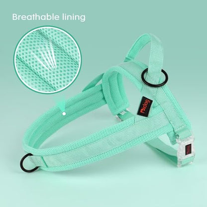 Didog No Pull Dog Harness with Breathable Mesh Padded, Quick Fit & Easy on Dog Vest Harness for Small Medium Large Dogs Training Walking(Green,XS) - color: Green, size: XS:Chest 15-19", Fit 8-17 lbs