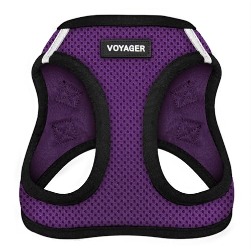 Best Pet Supplies - All Weather Mesh/Plush, Reflective, No Pull Harness for Small, Medium Dogs, Cats - Secure with Hook & Loop Fastener, Buckle, Double D-Rings - Purple/Black Trim, XS - color: Harness (Purple/Black Trim), size: XS (Chest: 13 - 14.5")