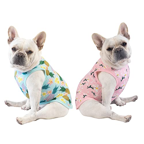 CuteBone Dog Shirts 2-Pack Soft Pet Clothes Breathable Summer Vest for Small Puppy and Stretchy Cat Apparel - color: Flowers&pineapple, size: Small