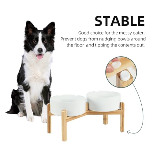 Havniva 7.3” Dog Bowls Elevated Ceramic Dog Food and Water Bowl Set, Double Raised Dog Water Bowl with Stand Non-Slip Rubber Base Large Capacity Feeding Pet Food Bowl for Medium Dogs - color: Matte White - 2 Bowls+Stand, size: 7.3 Inch