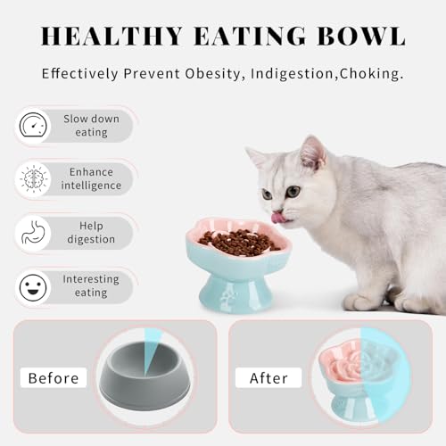 S&Q's CERAMICS Raised Slow Feeder Cat Bowl, Ceramic Elevated and Titled Glass Food Bowl Small Dogs Slow Feeder, Flower Shaped Cute Cat Dish for Dry and Wet Food (Pink, 5.8") - color: Pink
