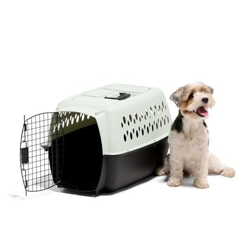 Petmate Pet Porter Fashion Dog Kennel Plastic Crate for Pets 15-20 lbs, Pet Carrier For Home and Travel, Made in USA, 24" L x 14.5" H, Pale Aqua and Black | Airline approved travel crate, durable plastic shell, secure carrier for home and trips, made in U