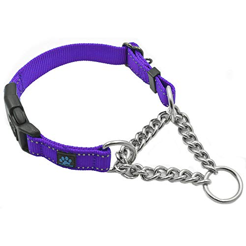 Max and Neo Stainless Steel Chain Martingale Collar - We Donate to a Dog Rescue for Every Collar Sold (Small, Purple) - color: PURPLE, size: Small