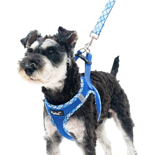 PUPTECK Dog Harness and Leash Set for Small Medium Dogs No Pull Step-in Soft Mesh Puppy Cat Vest Harnesses Reflective at Night, Blue S - color: #1 Blue(Basic Mesh), size: S(CHEST 14.5"-16", 6.6-14 lbs)