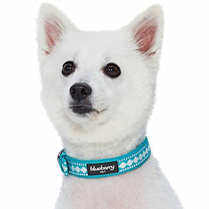 Blueberry Pet Reflective Jacquard Dog Collar with Neoprene Padding & Metal Buckle | Soft & Adjustable Safety Collar - Peacock, Neck 9-12.5", for Small Breed - color: Metal Buckle-Peacock, size: Small