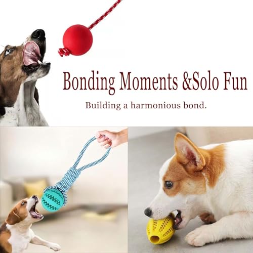 3 Pack Heavy Duty Dog Rope Toys for Breed Aggressive Chewers, Treat Balls and Dog Squeaky Toy for Puppies & Small Dogs