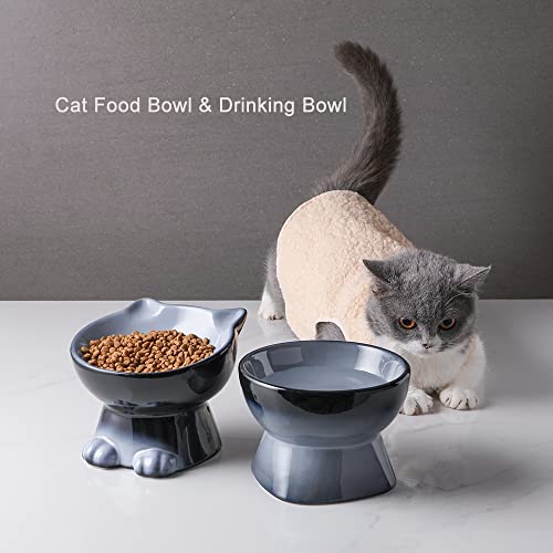 Nihow Ceramic Raised Cat & Dog Bowls: 5 Inch Elegant Gray (2 PC), Protecting Pet's Spine, Feeding & Watering Supplies, Modern Design, Anti Vomiting, Whisker Friendly - color: Gray, size: 4.5 OZ+8 OZ