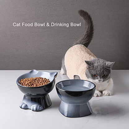 Nihow Ceramic Raised Cat & Dog Bowls: 5 Inch Elegant Gray (2 PC), Protecting Pet's Spine, Feeding & Watering Supplies, Modern Design, Anti Vomiting, Whisker Friendly - color: Gray, size: 4.5 OZ+8 OZ