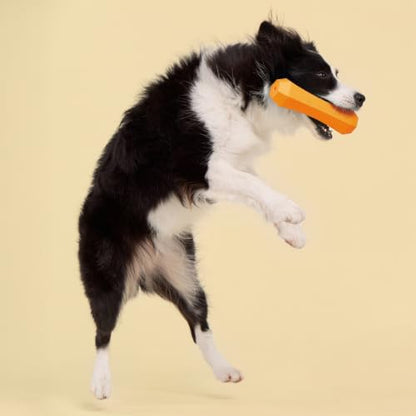 Playology Dog Toys | Squeaky Chew Stick for Large Dogs | Cheddar Cheese Scented Jumbo Fetch Toy | Squeaky Dog Chew Toy - size: Jumbo, style: Cheddar Cheese