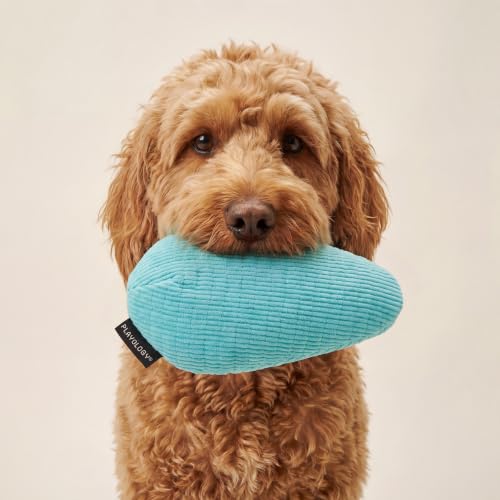 Playology Dog Toys | Plush Toy Crinkle Egg for Large Dogs | Peanut Butter Scented Jumbo Plush Chew Toy - size: Jumbo Egg, style: Peanut Butter