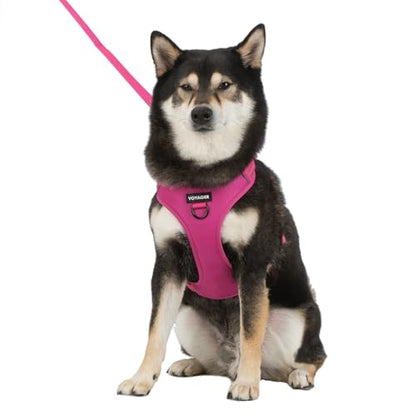 Voyager Dog Harness Dual Leash Attachment No-Pull Control Adjustable Soft but Strong Pet Harness for Medium and Large Dogs with 3M Reflective Technology, Fuchsia Nylon, XL (Chest: 28-37") - color: Fuchsia Nylon, size: XL (Chest: 28 - 37")